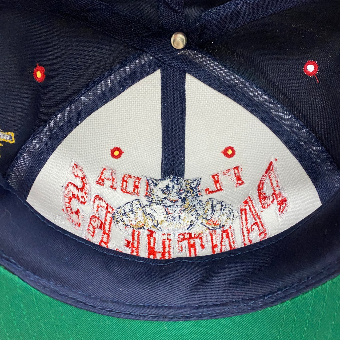 Vintage 1990s Florida Panthers Embroidered Snapback Hat