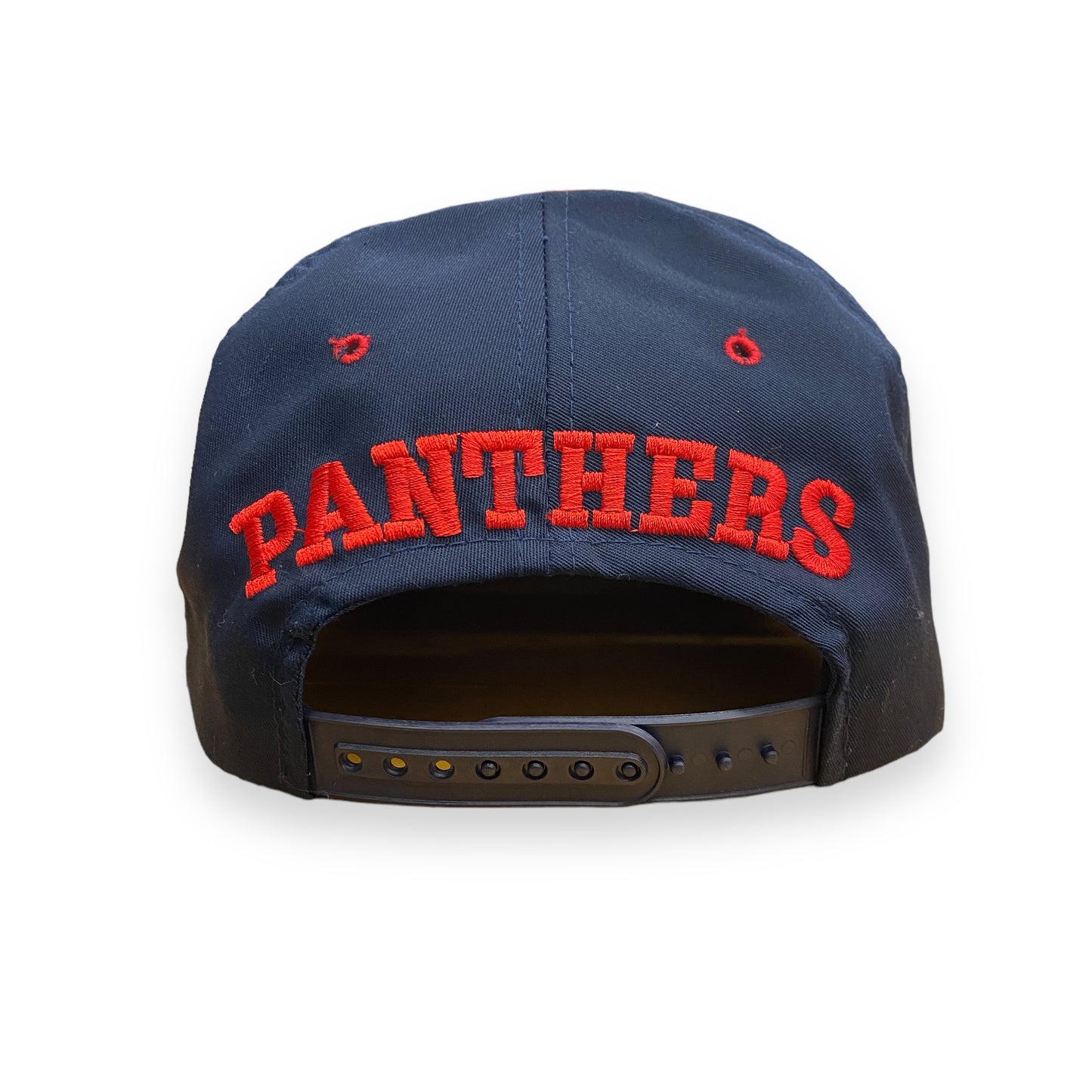 Vintage 1990s Florida Panthers Embroidered Snapback Hat