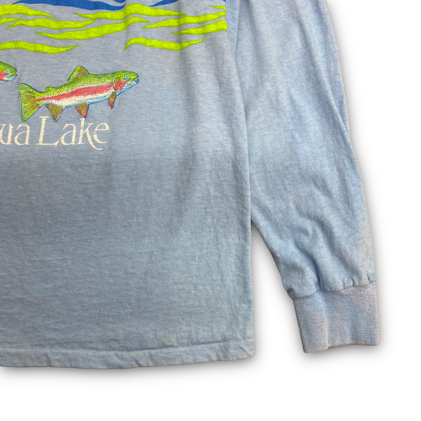 1980s Champion Canandaigua Lake Light Blue Long Sleeve - Size Large