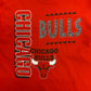 Vintage 1990s Chicago Bulls NBA Basketball Tee - Size XL